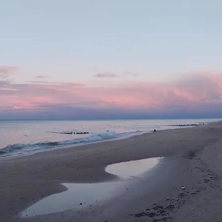 Trzecie Oko * Gąski