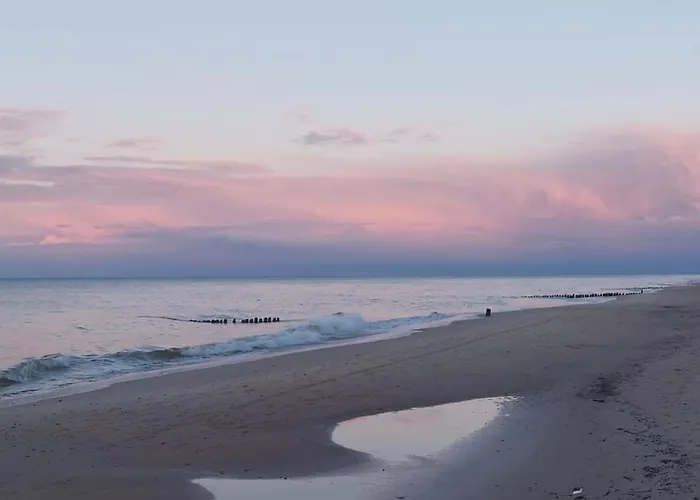 Trzecie Oko * Gąski